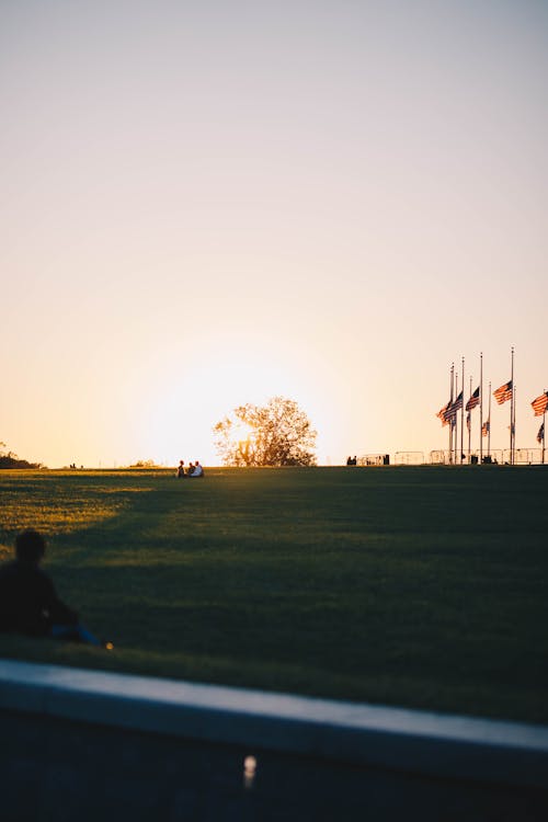 People Sitting on a Grass Field in a Park at Sunset 
