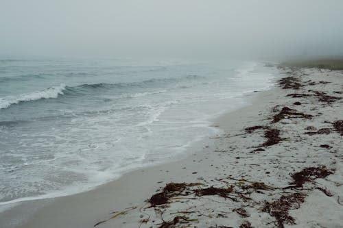 Kostnadsfria Kostnadsfri bild av hav, rutten, sand Stock foto