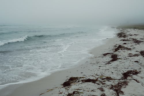 Sea Waves Crashing on Shore