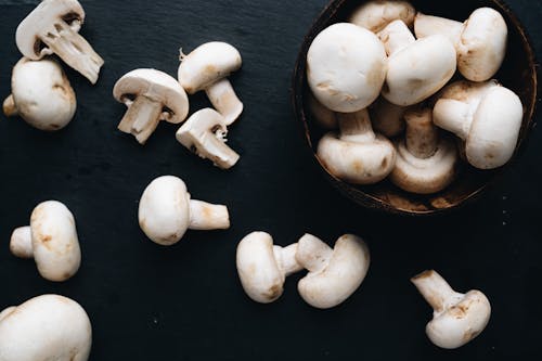 White Mushrooms on Black Surface