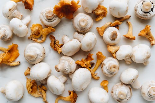 Assorted Mushrooms in Close Up Photography