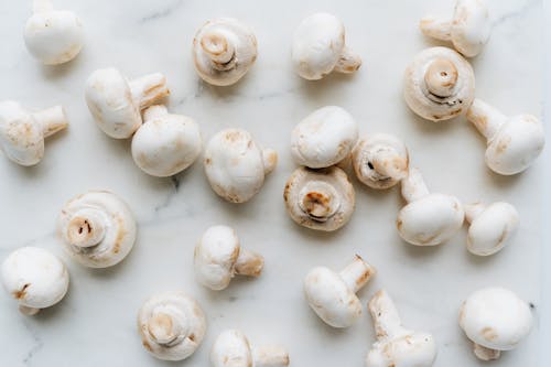 Close Up Photo of Fresh Mushrooms