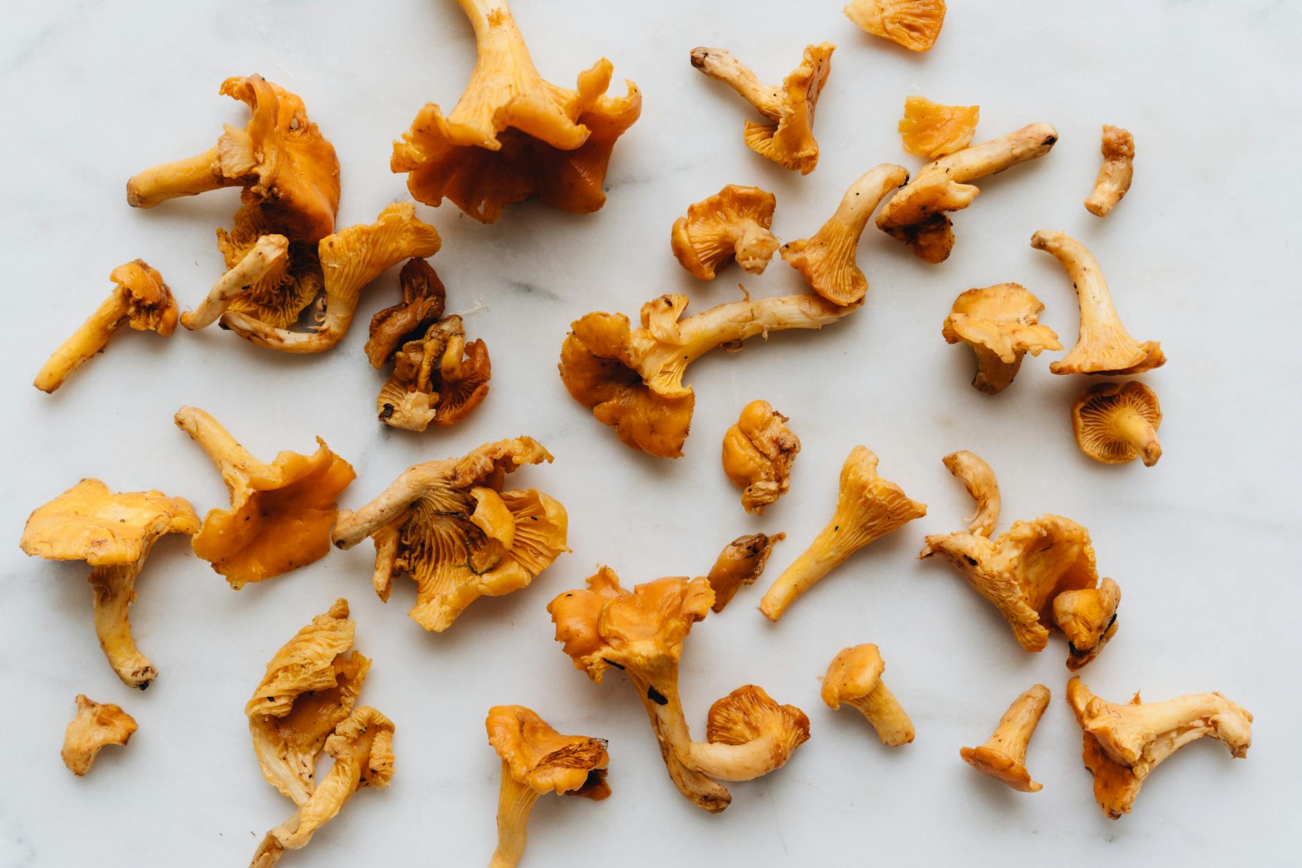 Brown Mushrooms on White Table