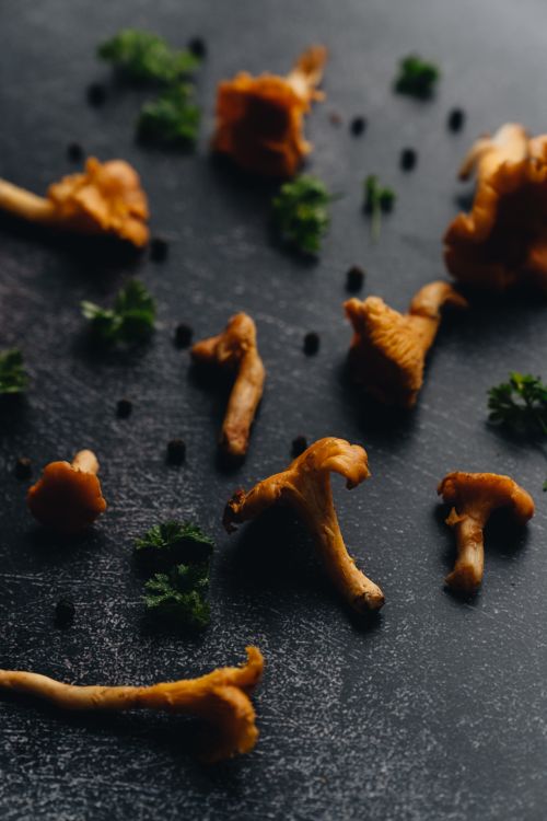 Chanterelles with herbs on a dark background