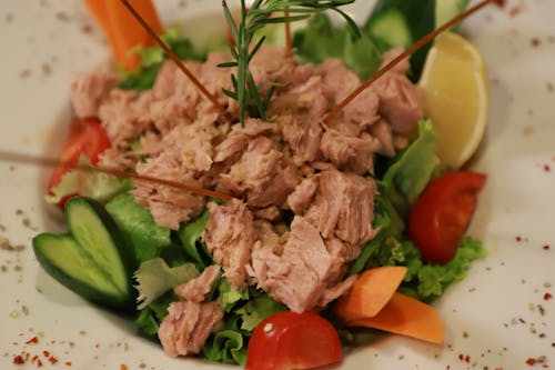 Close up of a Tuna Salad