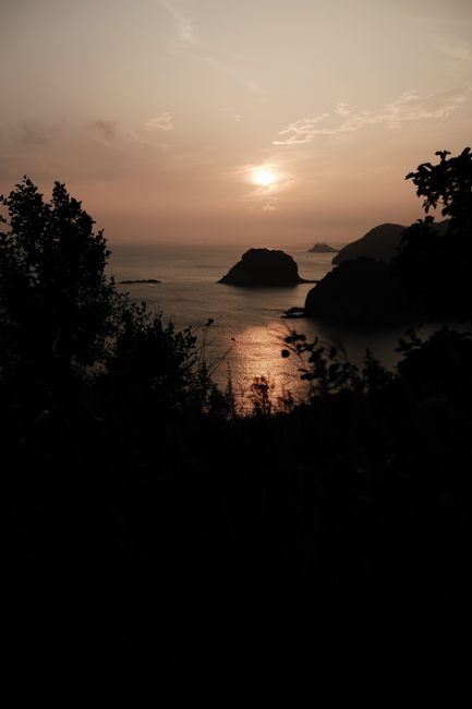 Capture of a peaceful coastal sunset with silhouetted trees and rocks.