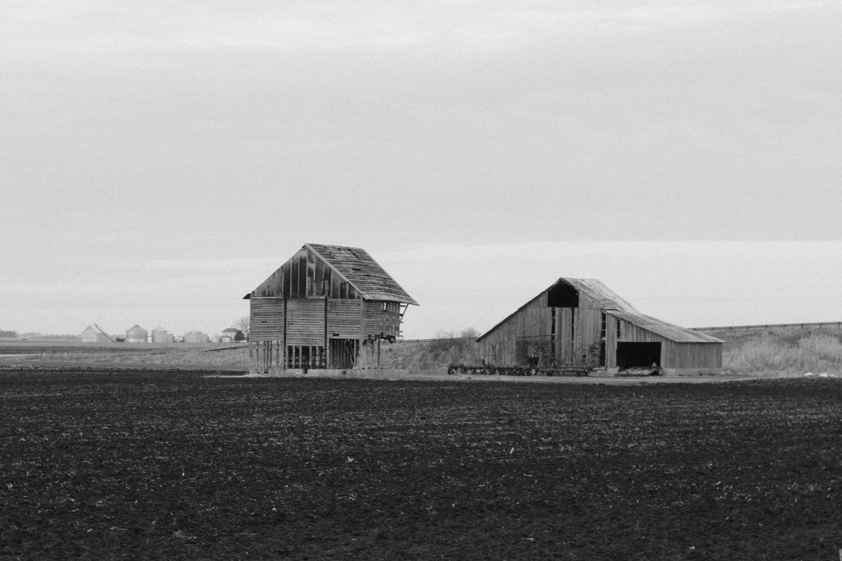 Free stock photo of agriculture, barn, blackandwhite