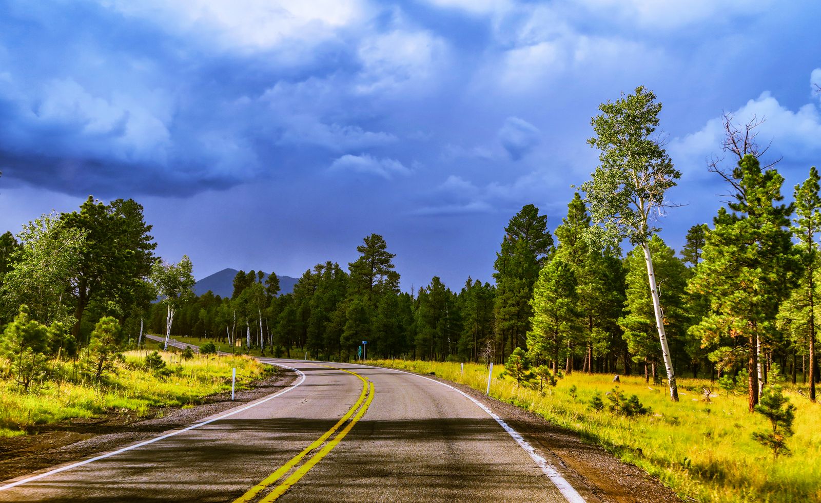 Flagstaff Rental Fee Hike Spares Airbnb, Vrbo Hosts