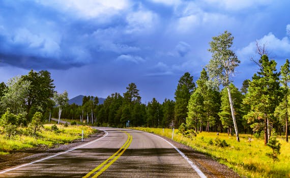 A tranquil road through a lush forest in Flagstaff, AZ, under a dramatic, cloudy sky.