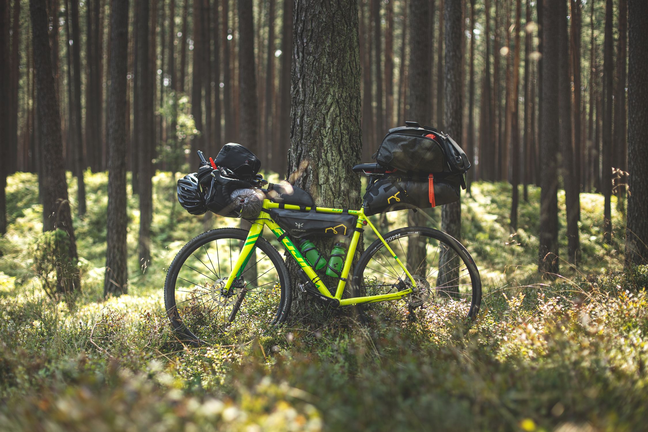 Adventure cyclist with fully loaded bikepacking setup on a scenic mountain trail