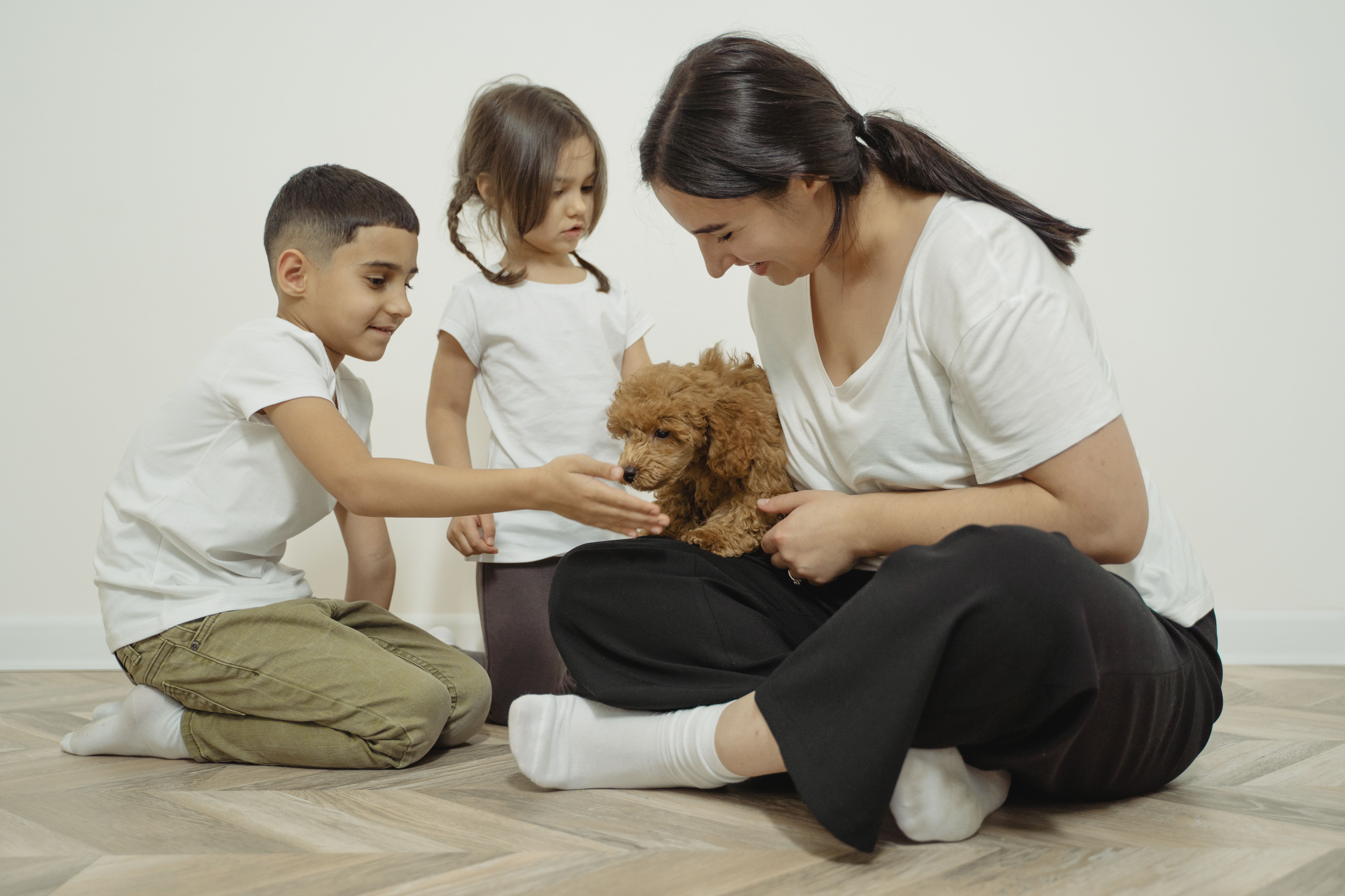 A family enjoys playful bonding time with their puppy indoors on a wooden floor.
