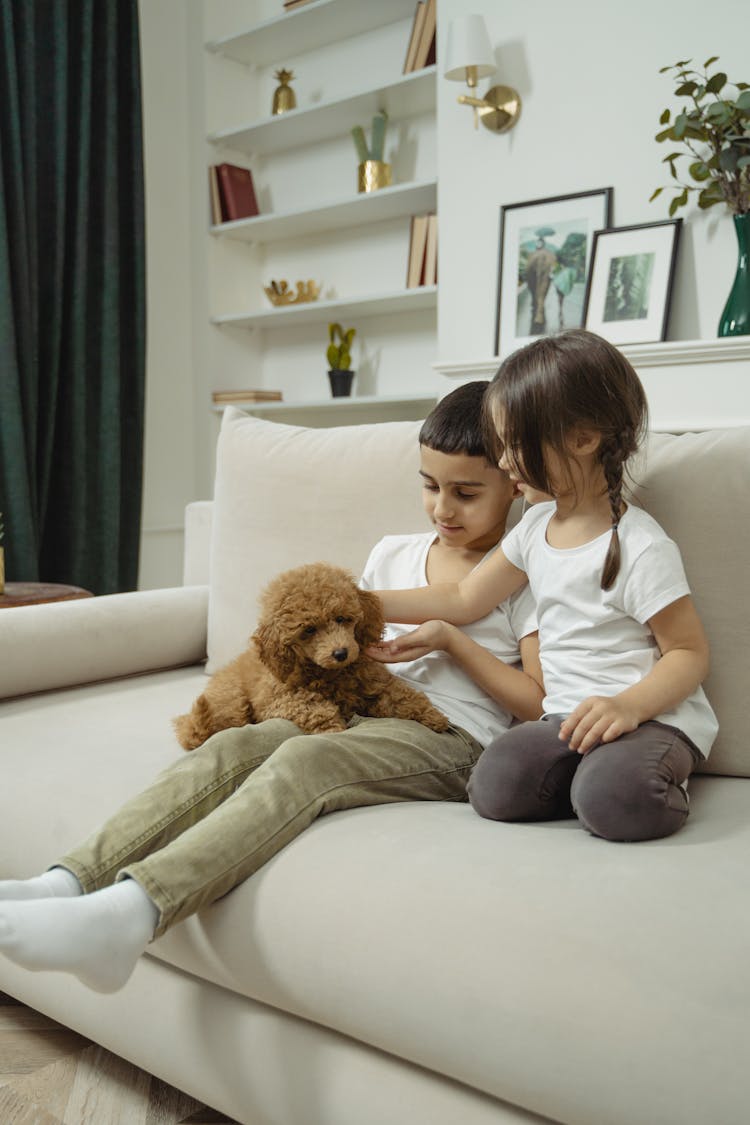 Boy And Girl Sitting On Beige Sofa Holding Brown Dog