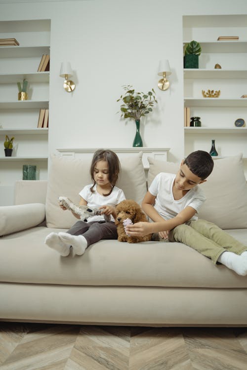 Boy in White Shirt and Brown Pants Sitting on Beige Sofa beside Brown Dog