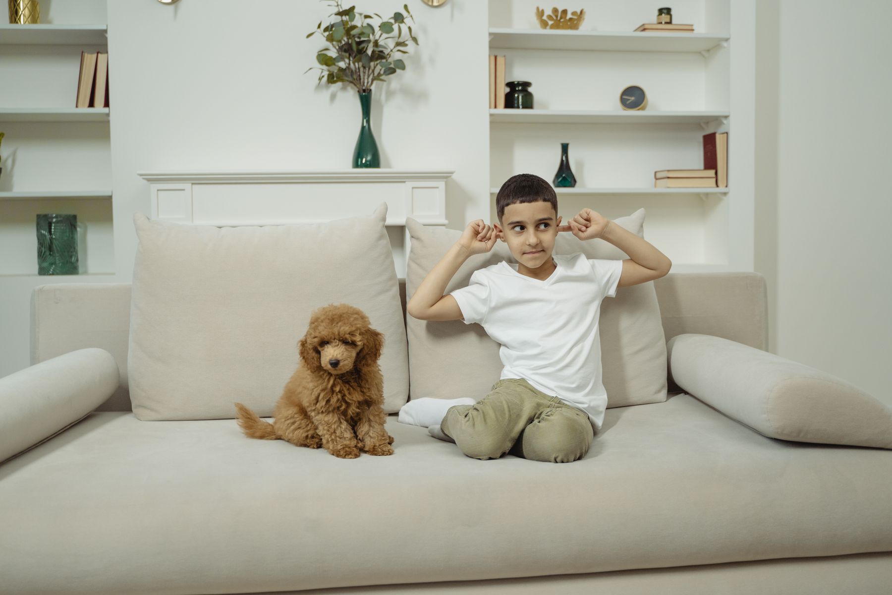 A family relaxing at home with a small dog