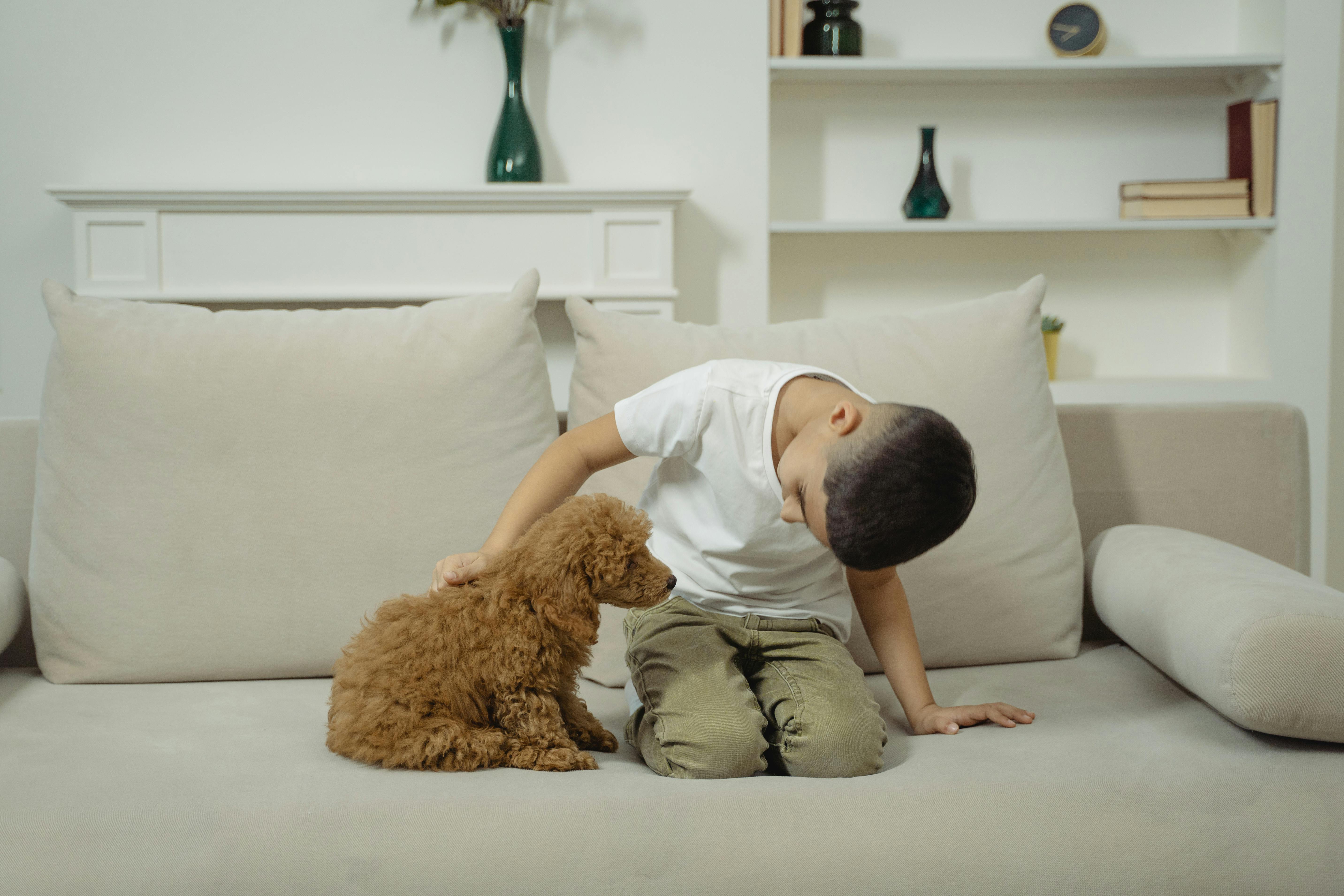What Age Can You Get Pet Insurance for a Dog UK 2026?