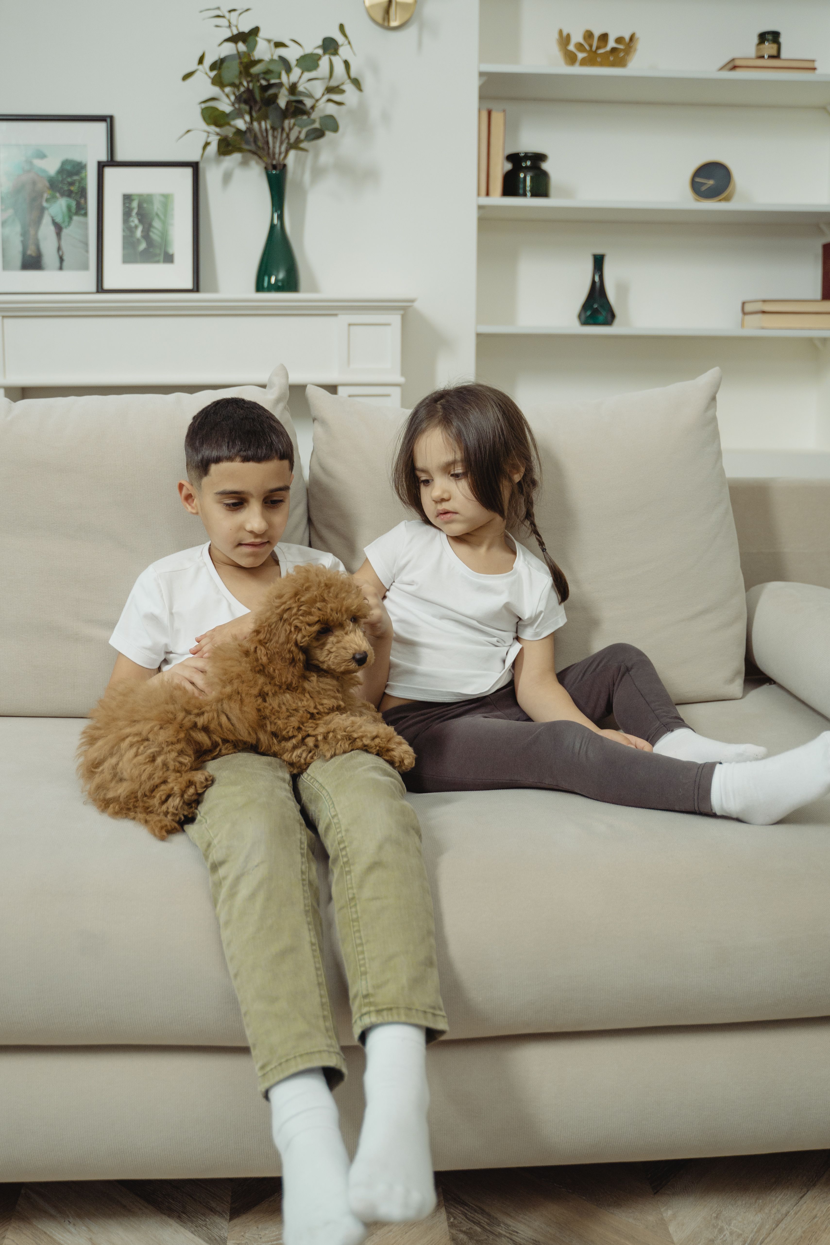 Two children sitting on a couch with a cute fluffy dog, enjoying a cozy indoor moment.