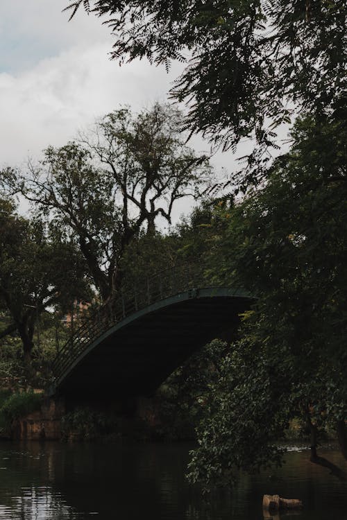 Základová fotografie zdarma na téma bujný, cestování, cestovní ruch