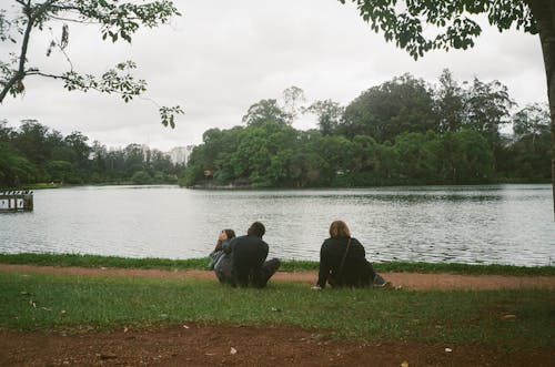 Back view of unrecognizable people enjoying picturesque scenery of lake surrounded by lush green trees