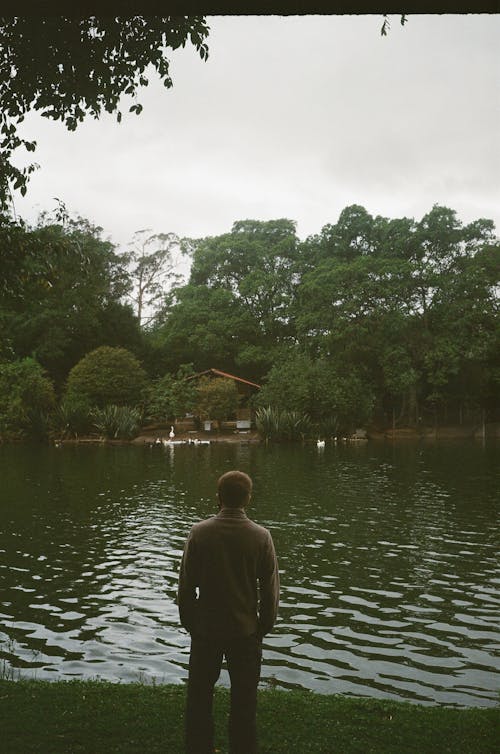 Back view of unrecognizable male in casual outfit standing on grassy shore near calm pond and enjoying picturesque scenery in summer day