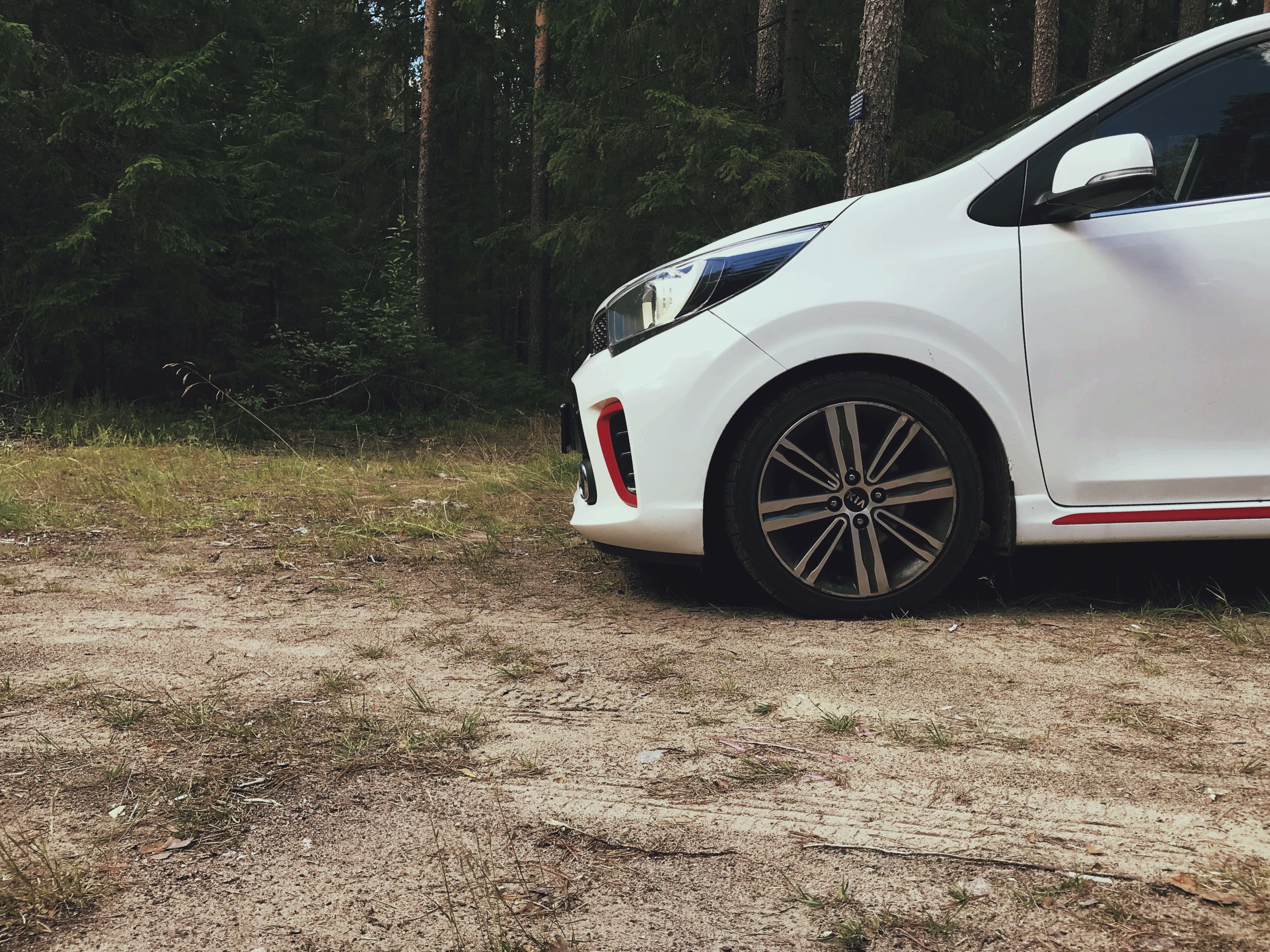 Side view of a white compact car in a forest, ideal for travel themes and ads.