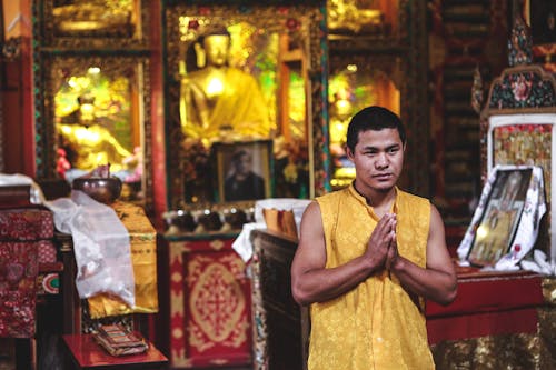 Young ethnic Buddhist monk in traditional clothes praying and looking away in aged temple near golden Buddha statues