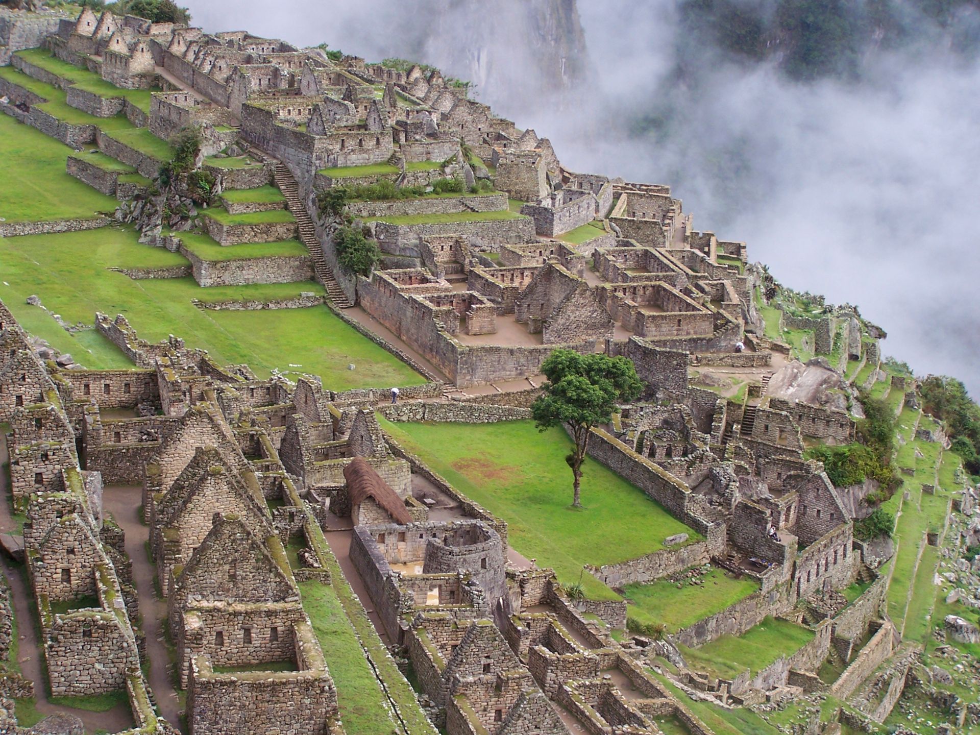 High-angle view of ancient Machu Picchu in misty atmosphere highlighting stone structures.