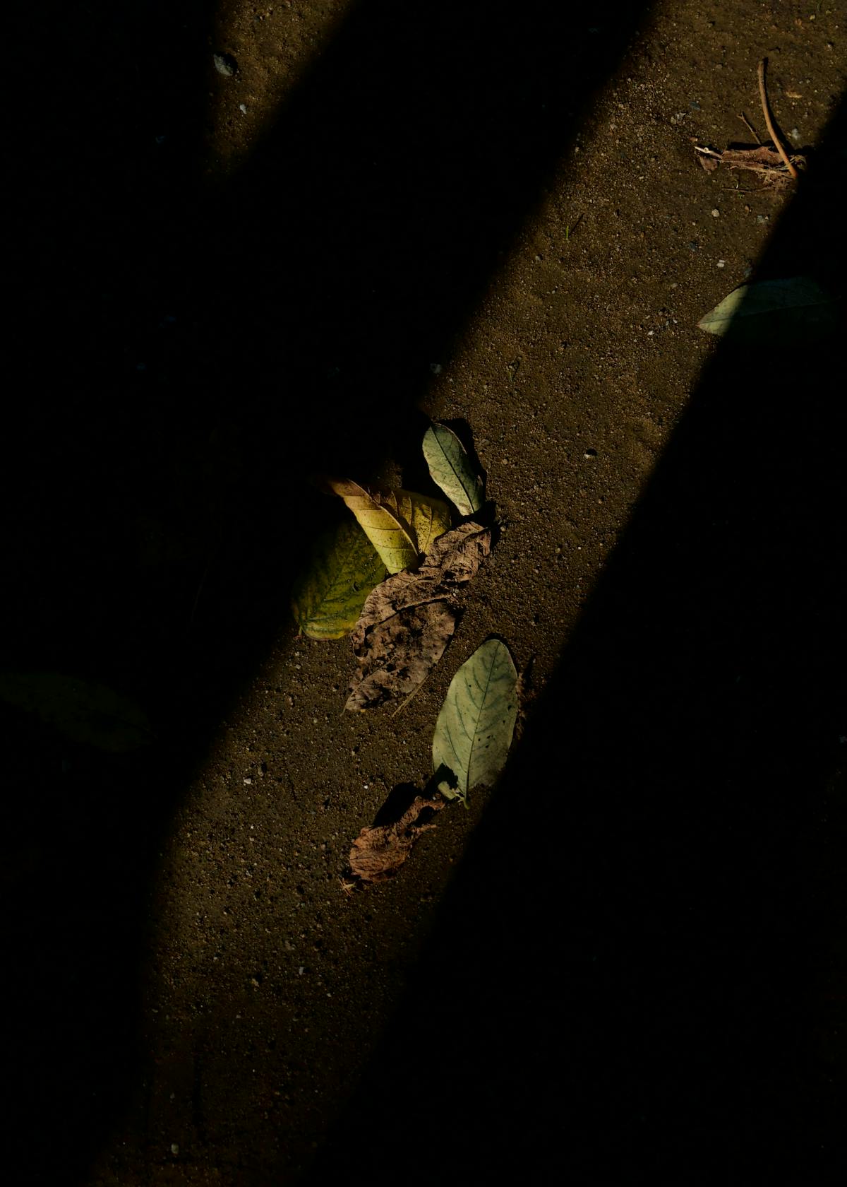 Digital representation of interconnected blocks and data, symbolizing blockchain infrastructure for AI