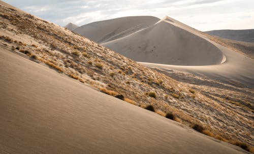 Sand Dunes in the Desert