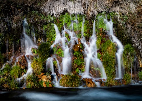 Scenic View of Waterfalls in the Forest