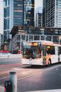 Red and White Bus on Road