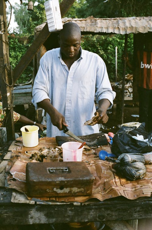 Free stock photo of africa, chicken BBQ, niger