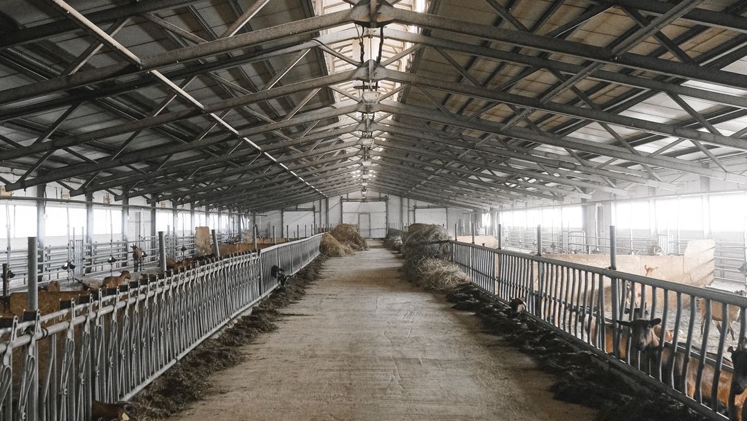 The interior of a barn