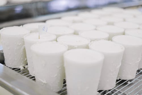 Free Production of Dairy Products in a Plant Stock Photo