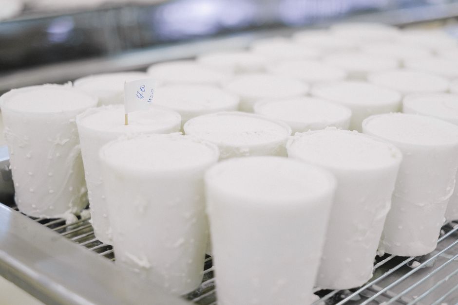 Leche cruda fresca en tanque de almacenamiento de lechería para producción de queso artesanal
