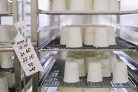 White Cheese on Stainless Steel Rack