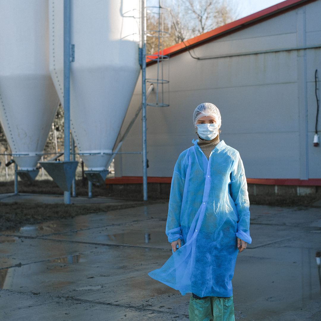 Employment Requirements and Labor Protections for a Slaughterhouse worker E-7-3 Korea