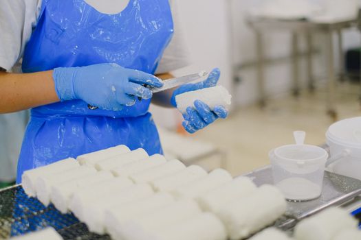 在无菌的乳品厂环境中，工人戴着手套加工奶酪