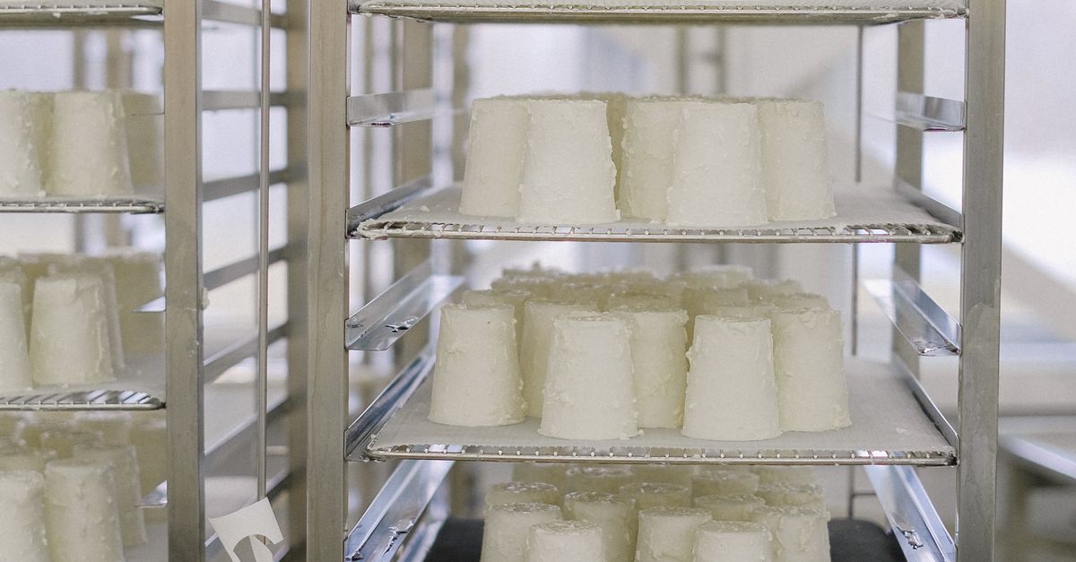 Dairy Racks Dairy Product on Stainless Steel Rack · Free Stock Photo