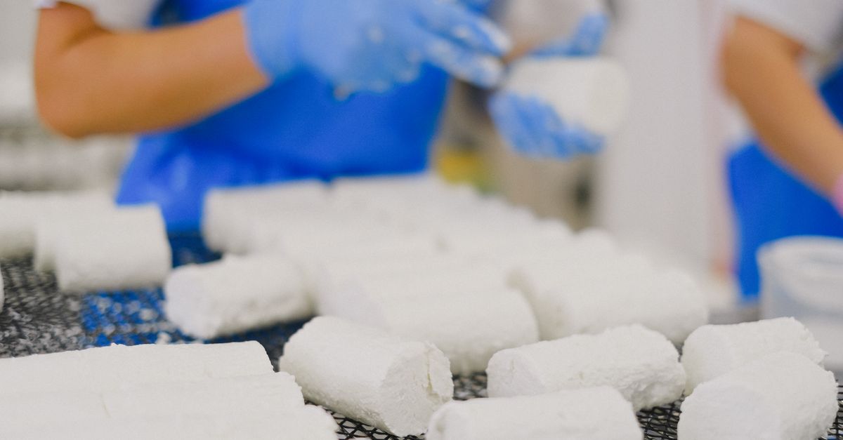 Tout savoir sur la fabrication du fromage : étapes et techniques