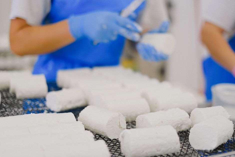 Precision Fermentation for Bio-Identical Human Milk Components