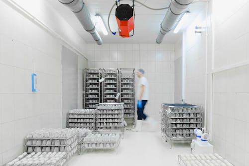 A Worker in a Storage Room