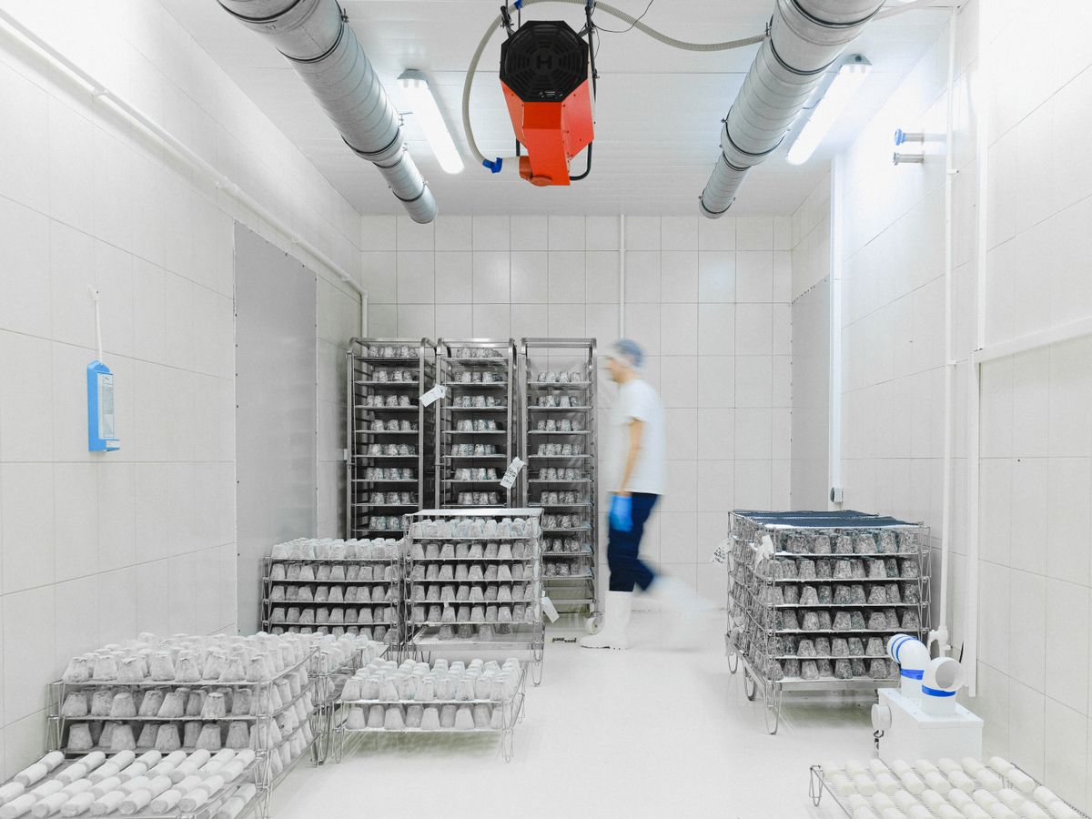 Cold Rooms & Walk-In Coolers