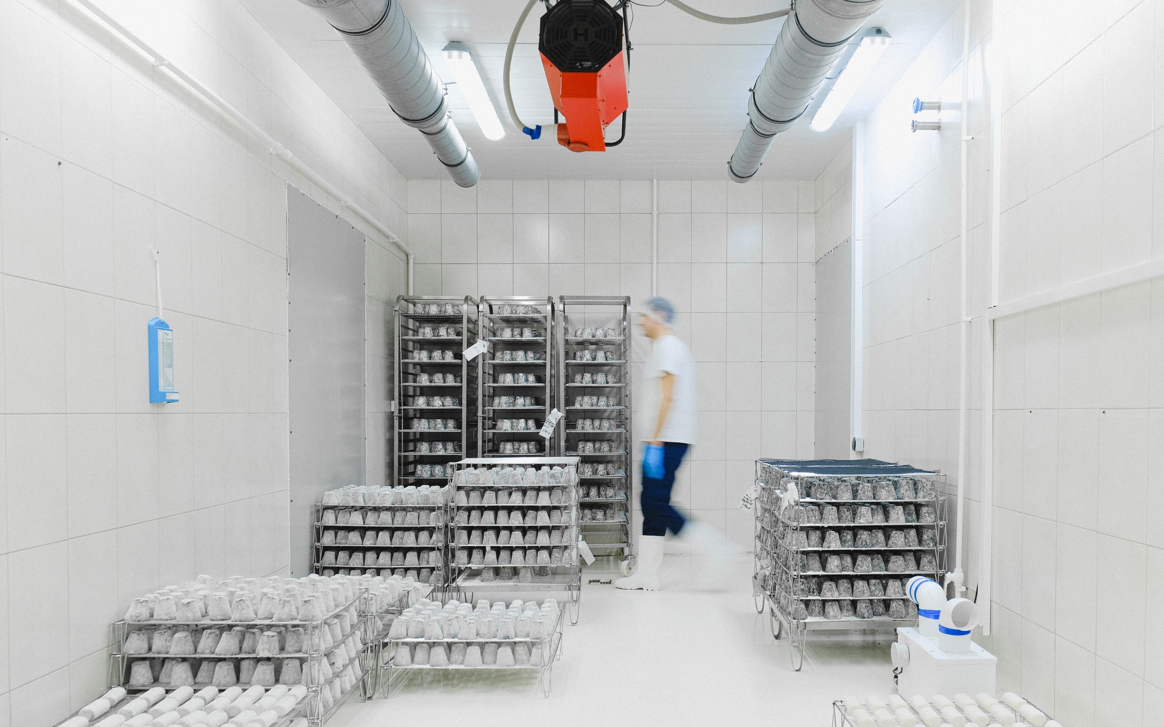 Cold Rooms & Walk-In Coolers