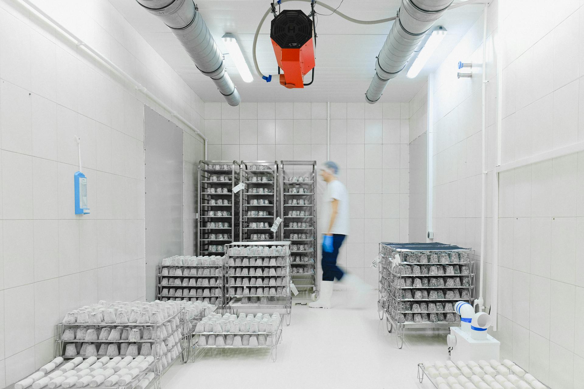 Blurred worker in a cold storage facility with shelves of perishable goods, emphasizing motion and efficiency.