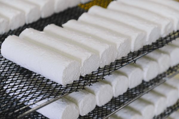 Fresh cheese rolls maturing on wire rack