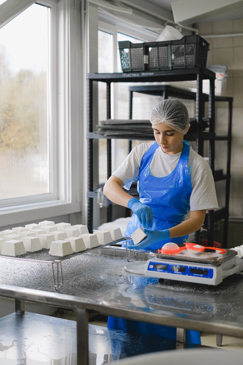 Sugar cubes being prepared in a production setting