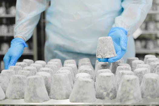 Worker in protective gear handling cheese in sterile factory environment, ensuring safety standards.