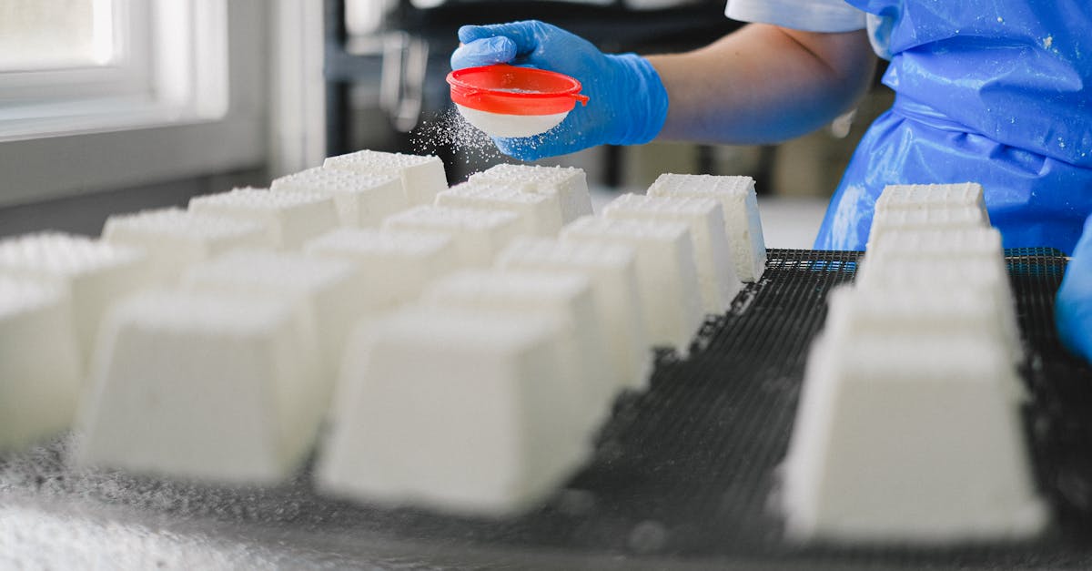 Tout savoir sur la production du fromage : étapes essentielles