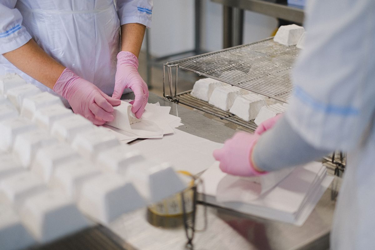 Workers in protective gear carefully wrapping cheese blocks by hand in a dairy factory setting.