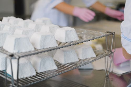 Free Close-up of artisanal cheese wheels on racks in a modern dairy factory. Stock Photo